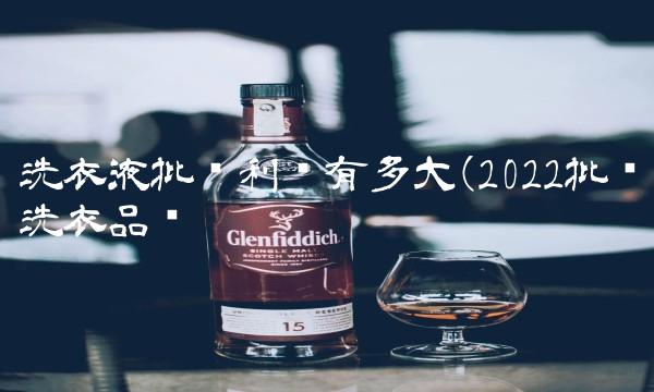 洗衣液批发利润有多大(2022批发洗衣品尝 洗衣液批发利润有多大(2022批发洗衣品尝