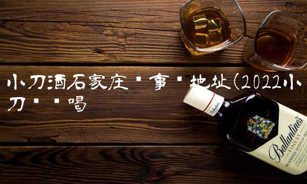 小刀酒石家庄办事处地址(2022小刀这样喝