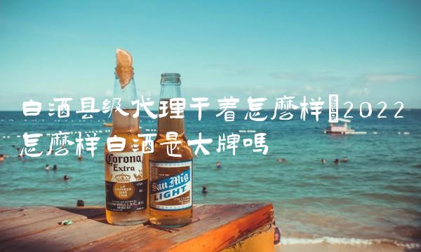 白酒县级代理干着怎么样(2022怎么样白酒是大牌吗