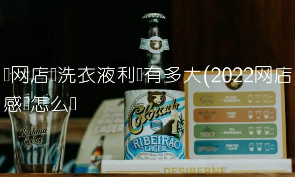 开网店卖洗衣液利润有多大(2022网店感觉怎么样 开网店卖洗衣液利润有多大(2022网店感觉怎么样