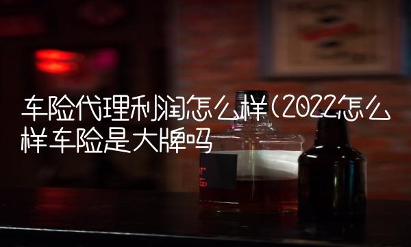 车险代理利润怎么样(2022怎么样车险是大牌吗