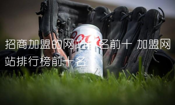 招商加盟的网站排名前十 加盟网站排行榜前十名
