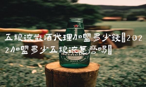 五粮液散酒代理加盟多少钱(2022加盟多少五粮液怎么喝)
